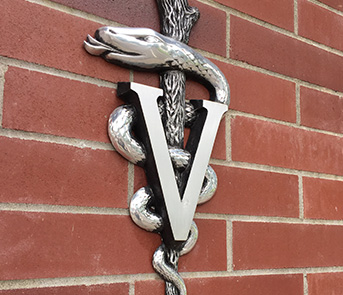 Veterinarian Medicine Symbol